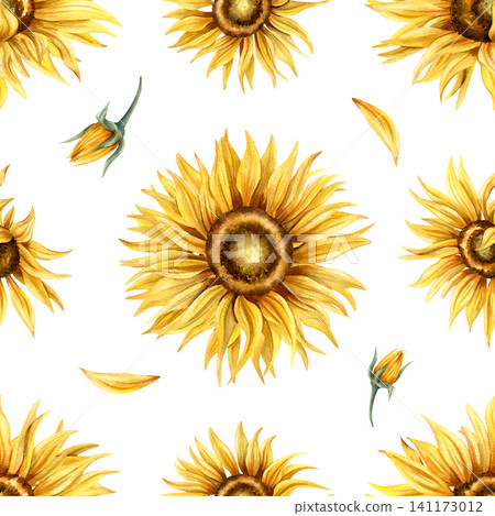Sunflower watercolor pattern background. Blooming Yellow flowers seamless repeat ornate. Hand painted botanical isolated floral illustration with bud. For textile, packaging design, wrapping paper Sunflower watercolor pattern background. Blooming Yellow flowers seamless repeat ornate. Hand painted botanical isolated floral illustration with bud. For textile, packaging design, wrapping paper 141173012