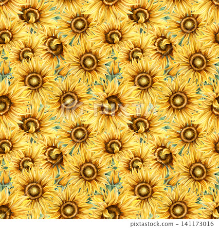Sunflower watercolor pattern. Blooming Yellow flowers seamless repeat ornate background. Hand painted botanical isolated floral illustration. For textile, packaging design, wrapping paper, wallpaper Sunflower watercolor pattern. Blooming Yellow flowers seamless repeat ornate background. Hand painted botanical isolated floral illustration. For textile, packaging design, wrapping paper, wallpaper 141173016