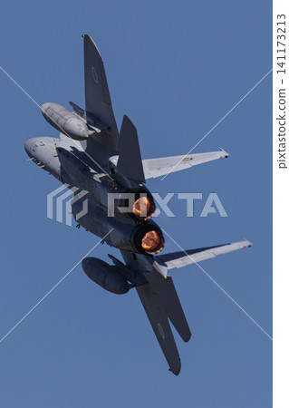 F-15 Eagle Air Superiority Fighter F-15 Eagle Air Superiority Fighter 141173213