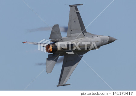 F-16 戰隼 F-16 戰隼 141173417