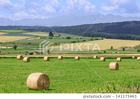 Hay bales and Mount Ashibetsu in Furano City, Hokkaido [July] 141173463