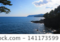 Spring scenery of Jogasaki Coast Spring scenery of Jogasaki Coast 141173599
