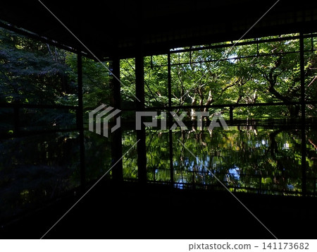 Rurikoin floor maple reflection Rurikoin floor maple reflection 141173682