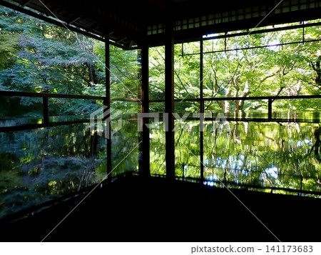 Rurikoin floor maple reflection Rurikoin floor maple reflection 141173683