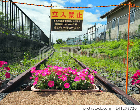Kazusa Kameyama Station (Kimitsu City) 141173726
