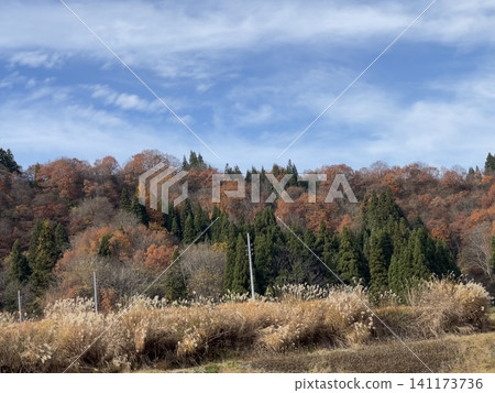 A mountain that turned red leaves A mountain that turned red leaves 141173736