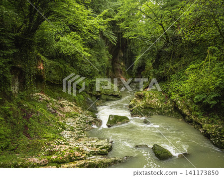 Martvili Canyon in Georgia: a scenic natural landscape featuring a mountain river flowing through deep limestone cliffs Martvili Canyon in Georgia: a scenic natural landscape featuring a mountain river flowing through deep limestone cliffs 141173850
