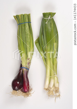 Two Bunches of Fresh Green and Red Scallions Two Bunches of Fresh Green and Red Scallions 141174433