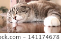 A cat's sleeping face is reflected on the floor like a mirror, a truly soothing sight. 141174678