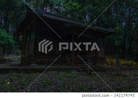 神社禮拜殿和螢火蟲 神社禮拜殿和螢火蟲 141174745