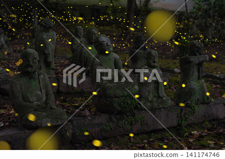 Arhat statues and fireflies 141174746