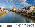 石川縣金澤市的春日景色,展現了沿著西川的城鎮風光、盛開的櫻花和一座橋樑。 石川縣金澤市的春日景色,展現了沿著西川的城鎮風光、盛開的櫻花和一座橋樑。 141174995