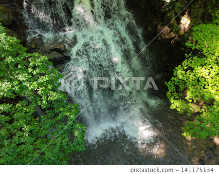 Asama Great Falls in early summer Asama Great Falls in early summer 141175134
