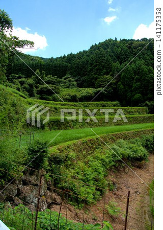The terraced rice fields of Warabino - a landscape The terraced rice fields of Warabino - a landscape 141175358