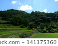 The terraced rice fields of Warabino - a landscape 141175360