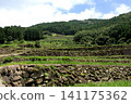 The terraced rice fields of Warabino - a landscape 141175362