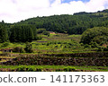 The terraced rice fields of Warabino - a landscape 141175363