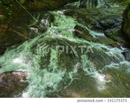 A clear stream flowing through the fresh green forest A clear stream flowing through the fresh green forest 141175373