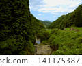 The scenery of a tributary of the terraced rice fields of Warabino 141175387