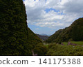 The scenery of a tributary of the terraced rice fields of Warabino 141175388