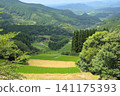Rice terraces of Warabino, scenery viewed from Taihei Observatory. 141175393