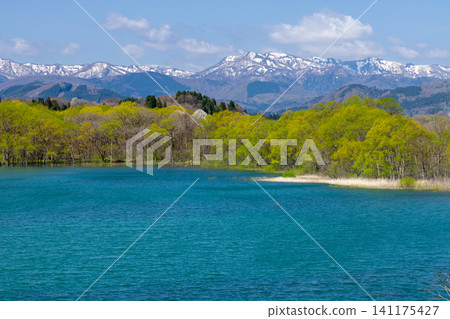 從岩手縣岩手郡雫石町雫石河公園毗鄰禦所湖的山頂上,可以看到湖面藍色的湖面上遠處白雪皚皚的群山,包括秋田駒岳。 從岩手縣岩手郡雫石町雫石河公園毗鄰禦所湖的山頂上,可以看到湖面藍色的湖面上遠處白雪皚皚的群山,包括秋田駒岳。 141175427