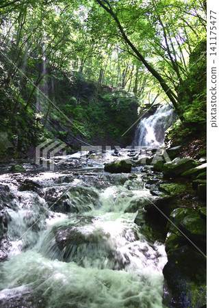 Asama Great Falls in early summer Asama Great Falls in early summer 141175477