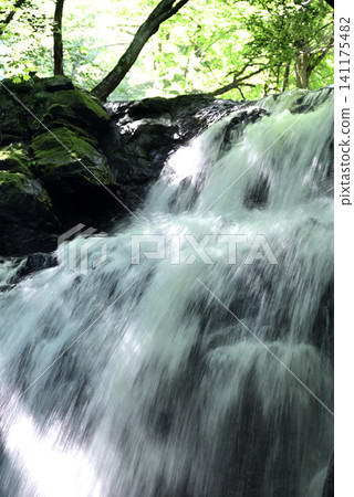 Asama Great Falls in early summer Asama Great Falls in early summer 141175482