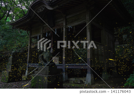 山中的神社和螢火蟲 山中的神社和螢火蟲 141176043