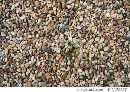 Small stones cover ground in outdoor area of garden or park Small stones cover ground in outdoor area of garden or park 141176067