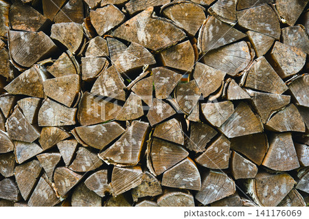 Wood logs stacked for storage before winter season begins in rural area Wood logs stacked for storage before winter season begins in rural area 141176069