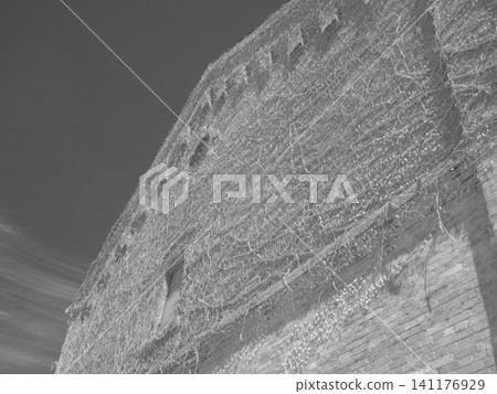 Red brick and ivy 141176929