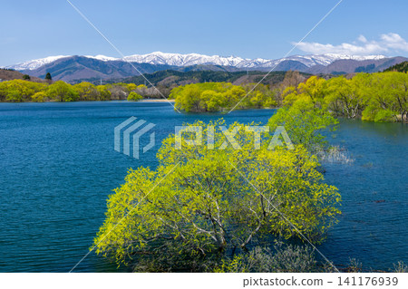 從位於岩手縣岩手郡雫石町雫石川上的雫石水庫——雫石湖上的雫石大橋上,可以看到被淹沒的森林對面的白雪皚皚的奧羽山脈。 從位於岩手縣岩手郡雫石町雫石川上的雫石水庫——雫石湖上的雫石大橋上,可以看到被淹沒的森林對面的白雪皚皚的奧羽山脈。 141176939