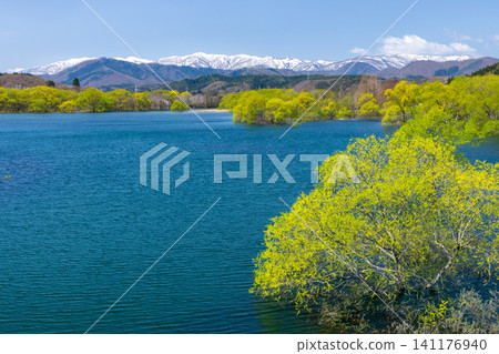 從位於岩手縣岩手郡雫石町雫石川上的雫石水庫——雫石湖上的雫石大橋上，可以看到被淹沒的森林對面的白雪皚皚的奧羽山脈。 141176940