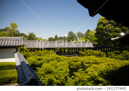 從東福寺方丈(住持住處)西庭眺望通天橋( 從東福寺方丈(住持住處)西庭眺望通天橋( 141177445