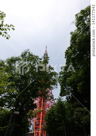 Famous Tokyo Tower Rising Above the Modern City Skyline in Tokyo, Japan Famous Tokyo Tower Rising Above the Modern City Skyline in Tokyo, Japan 141177542