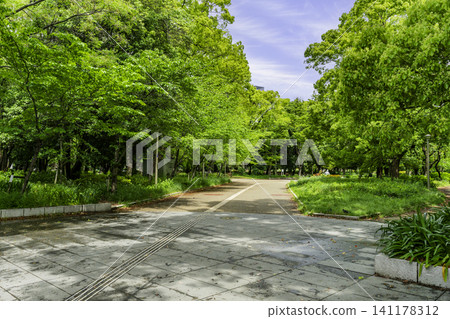 大阪韌公園東園 大阪府大阪市 大阪韌公園東園 大阪府大阪市 141178312