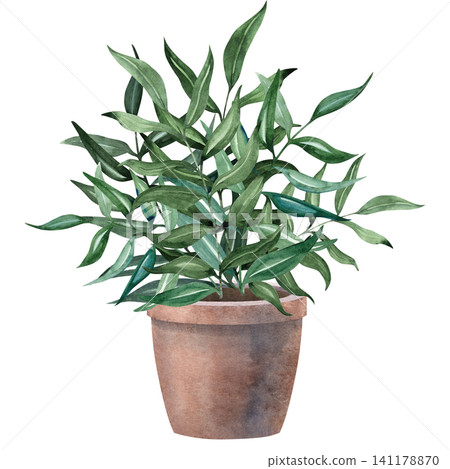 Watercolor green plant in a terracotta pot inspired by Victorian manor gardens. Elegant botanical illustration for invitations, stationery, branding, patterns and storybook designs Watercolor green plant in a terracotta pot inspired by Victorian manor gardens. Elegant botanical illustration for invitations, stationery, branding, patterns and storybook designs 141178870