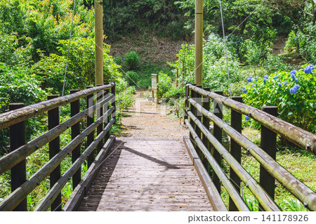 A bridge bathed in the spring sunshine A bridge bathed in the spring sunshine 141178926