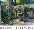 Garden with roses 141179105