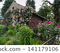 Garden with roses 141179106