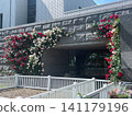 The entrance to the JRA Horse Racing Museum, surrounded by roses. 141179196