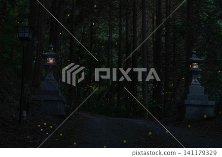 Lanterns and fireflies in the mountains 141179329