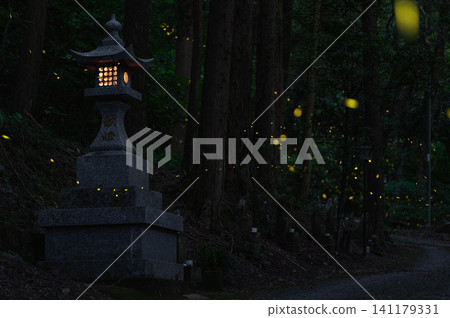 山裡的燈籠和螢火蟲 141179331
