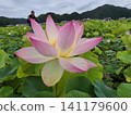 Children playing with lotus flowers 141179600