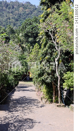 Sunlit tropical garden path beneath dense palms and leafy canopy leading toward shaded pavilion beside forested hillside in lush resort landscape, with pathway, garden, tropical, tree detail Sunlit tropical garden path beneath dense palms and leafy canopy leading toward shaded pavilion beside forested hillside in lush resort landscape, with pathway, garden, tropical, tree detail 141180012