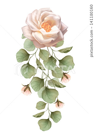 Hand drawn illustration of an elegant vertical floral swag with white rose and eucalyptus foliage. Botanical decorative element Hand drawn illustration of an elegant vertical floral swag with white rose and eucalyptus foliage. Botanical decorative element 141180160
