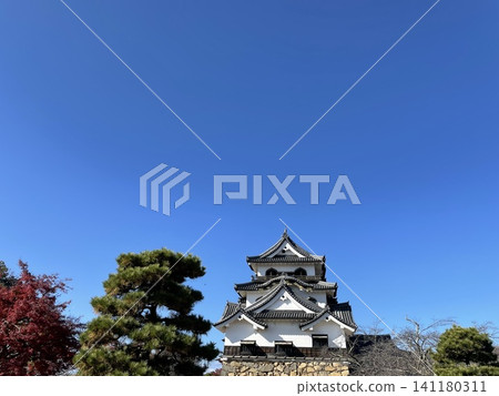 滋賀縣彥根市,國寶彥根城天守閣與藍天映襯下的秋葉, 滋賀縣彥根市,國寶彥根城天守閣與藍天映襯下的秋葉, 141180311