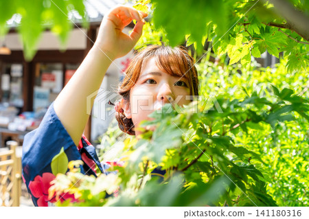 In the garden of an old house In the garden of an old house 141180316