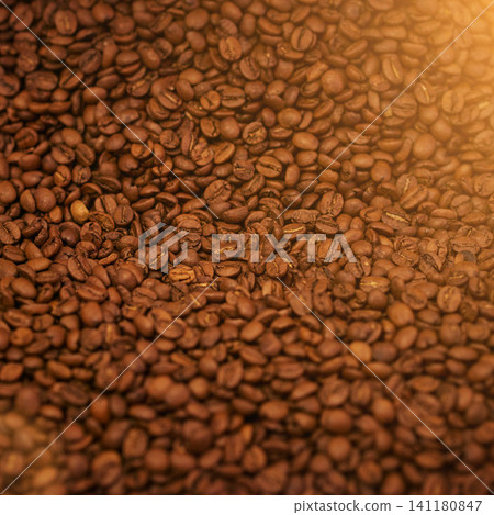 Coffee beans, closeup and product with natural source for export, trading or flavor with sustainability. Caffeine, supply chain and manufacturing with zoom, industry and logistics for distribution 141180847